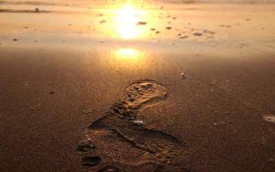 My Journey as an Attorney